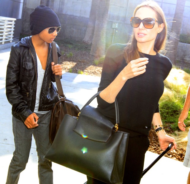 Анджелина Джоли с новой сумкой Луи Вьюттон Louis Vuitton "Capucines Bag"